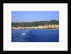 View of town on coast, Carloforte, San Pietro island, Sardinia, Italy by Anonymous