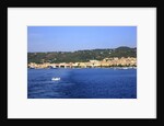 View of town on coast, Carloforte, San Pietro island, Sardinia, Italy by Anonymous