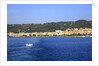 View of town on coast, Carloforte, San Pietro island, Sardinia, Italy by Anonymous