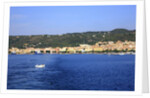 View of town on coast, Carloforte, San Pietro island, Sardinia, Italy by Anonymous