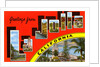 Greetings from La Jolla, California by Anonymous