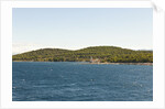 Island seen from sea, Hvar Island, Croatia by Anonymous