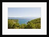 Lush foliage of island, Vrboska, Hvar Island, Croatia by Anonymous