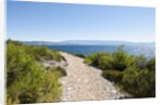 Footpath by sea, near Vrboska, Hvar Island, Croatia by Anonymous
