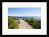 Footpath by sea, near Vrboska, Hvar Island, Croatia by Anonymous