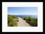 Footpath by sea, near Vrboska, Hvar Island, Croatia by Anonymous