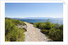 Footpath by sea, near Vrboska, Hvar Island, Croatia by Anonymous