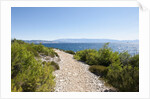 Footpath by sea, near Vrboska, Hvar Island, Croatia by Anonymous