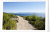 Footpath by sea, near Vrboska, Hvar Island, Croatia by Anonymous