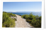 Footpath by sea, near Vrboska, Hvar Island, Croatia by Anonymous