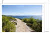 Footpath by sea, near Vrboska, Hvar Island, Croatia by Anonymous