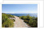 Footpath by sea, near Vrboska, Hvar Island, Croatia by Anonymous