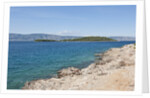 Coastline, near Vrboska, Hvar Island, Croatia by Anonymous