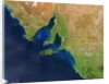 Phytoplankton blooms off South Australia by Anonymous