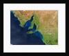 Phytoplankton blooms off South Australia by Anonymous