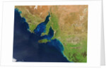 Phytoplankton blooms off South Australia by Anonymous