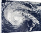 Tropical Storm Nadine (14L) off the Azores by Anonymous
