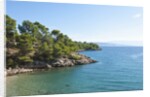 Coastline, near Vrboska, Hvar Island, Croatia by Anonymous