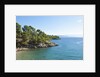 Coastline, near Vrboska, Hvar Island, Croatia by Anonymous