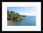 Coastline, near Vrboska, Hvar Island, Croatia by Anonymous
