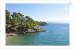 Coastline, near Vrboska, Hvar Island, Croatia by Anonymous