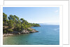 Coastline, near Vrboska, Hvar Island, Croatia by Anonymous