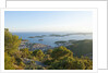 View of town and Pakleni archipelago, Hvar Town, Hvar Island, Croatia by Anonymous