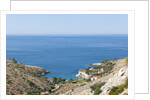 Dobovica Bay, Hvar Island, Croatia by Anonymous