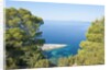 Zarace bay, Hvar Island, Croatia by Anonymous