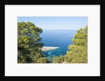 Zarace bay, Hvar Island, Croatia by Anonymous