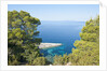 Zarace bay, Hvar Island, Croatia by Anonymous