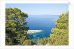 Zarace bay, Hvar Island, Croatia by Anonymous