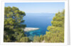 Zarace bay, Hvar Island, Croatia by Anonymous