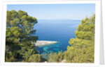 Zarace bay, Hvar Island, Croatia by Anonymous