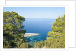 Zarace bay, Hvar Island, Croatia by Anonymous