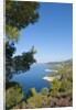 View of Zarace bay, Hvar Island, Croatia by Anonymous