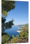 View of Zarace bay, Hvar Island, Croatia by Anonymous