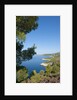 View of Zarace bay, Hvar Island, Croatia by Anonymous