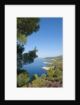 View of Zarace bay, Hvar Island, Croatia by Anonymous