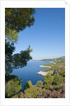 View of Zarace bay, Hvar Island, Croatia by Anonymous