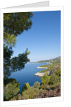 View of Zarace bay, Hvar Island, Croatia by Anonymous