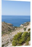View of Dobovica Bay, Hvar Island, Croatia by Anonymous