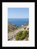 View of Dobovica Bay, Hvar Island, Croatia by Anonymous