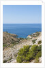 View of Dobovica Bay, Hvar Island, Croatia by Anonymous