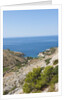 View of Dobovica Bay, Hvar Island, Croatia by Anonymous