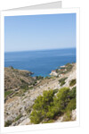 View of Dobovica Bay, Hvar Island, Croatia by Anonymous