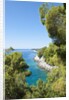 Coastline, Korcula island, Croatia by Anonymous