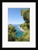 Coastline, Korcula island, Croatia by Anonymous