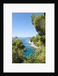 Coastline, Korcula island, Croatia by Anonymous