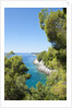Coastline, Korcula island, Croatia by Anonymous